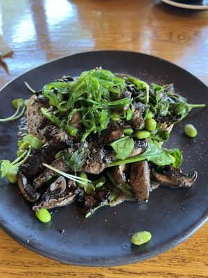 Mushrooms on toast  at Addington Coffee Co-op in Christchurch