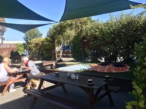 garden at Addington Coffee Co-op in Christchurch