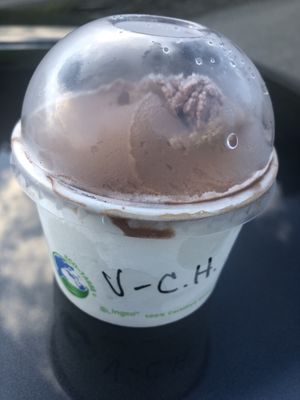 Chocolate hazelnut vegan ice cream made there   at Red Tomato Pies in Williams Lake