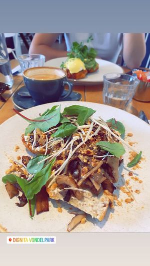 Forest dwellers toast at Dignita in Amsterdam