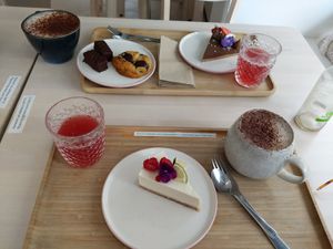 Sweets, cappuccinos and kombucha, 48 chf total for what you see here. at Alive in Geneva