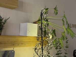 inside  at Alive in Geneva