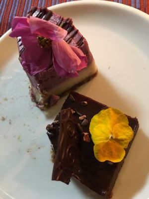 Cake at Alive in Geneva