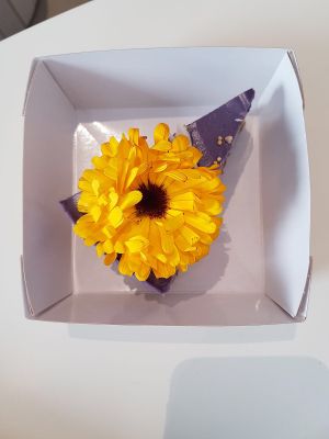 cheesecake at Alive in Geneva