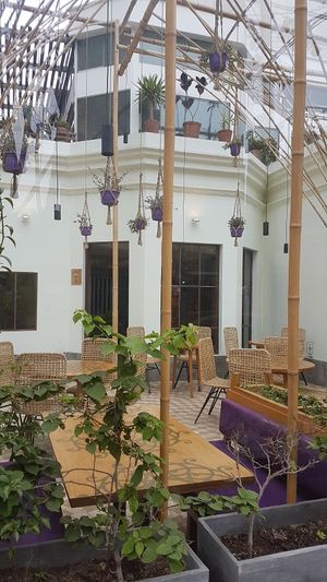 outdoor seating at Veda Restaurante in Miraflores