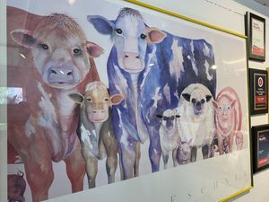 Safe Space for Animal Lovers  at Aba's Falafel in Rhinebeck