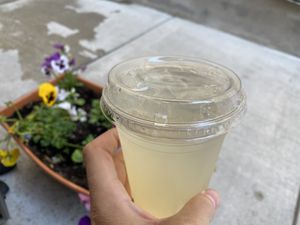 Lemonade with Anise, Took Two.  at Aba's Falafel in Rhinebeck