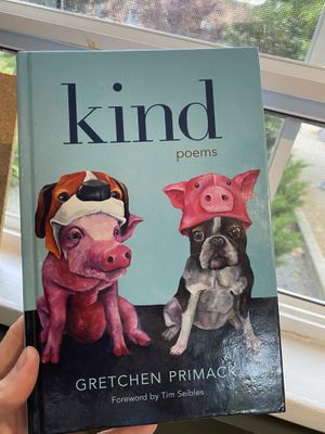 A HappyCow user wrote this!  at Aba's Falafel in Rhinebeck