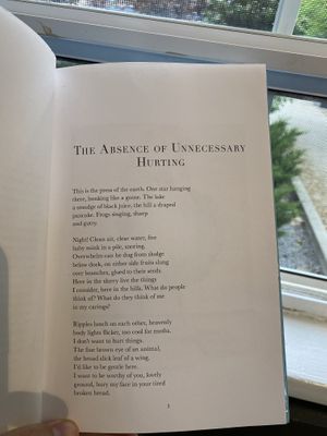 Nice!  at Aba's Falafel in Rhinebeck