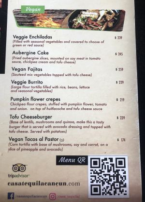 Vegan portion of the menu at Casa Tequila in Cancun