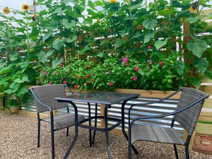 Dine where your food grows at Seeds and Greens. Plus our garden is dog friendly.
 at Seeds and Greens Market & Deli in New Albany