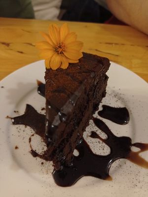 Chocolate cake with another pretty flower #Veganuary at Hua Hin Vegan Cafe and Wine in Hua Hin