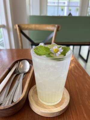 House lemonade   at Hua Hin Vegan Cafe and Wine in Hua Hin