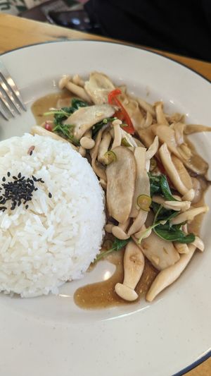 Mushroom Kaprao at Hua Hin Vegan Cafe and Wine in Hua Hin