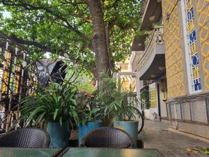 Outdoor seating at Justbe by Nidhi Nahata in Bangalore