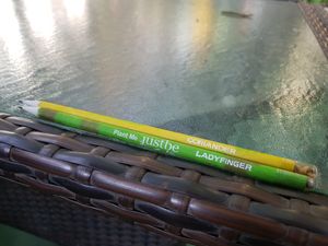 cute free pencils with plant seeds inside at Justbe by Nidhi Nahata in Bangalore