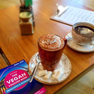 Vegan voucher book at counter  at Camber Coffee in Newcastle Upon Tyne