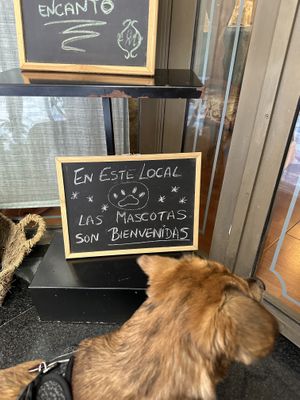Dog-friendlyy  at Chef Momo in Cartagena