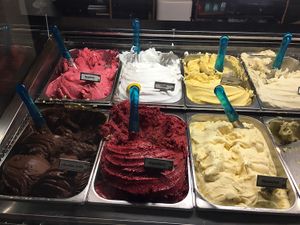 vegan gelato selection  at Kaffee Eis in Wellington