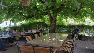 Garden at Pintli in Solothurn