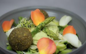 🌱 at MU-Food in Geneva