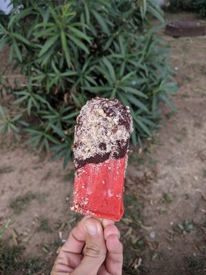 Strawberry with dark chocolate and hazelnut at Stixberry in Split
