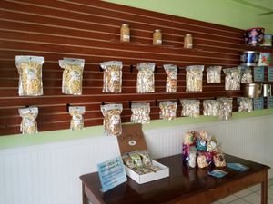pre-bagged selections at Sweet-E's Gourmet Popcorn in Tarpon Springs