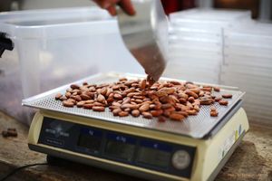 Chocolate Workshops are now held weekly at BELYZIUM.  at Belyzium Artisan Chocolate in Berlin