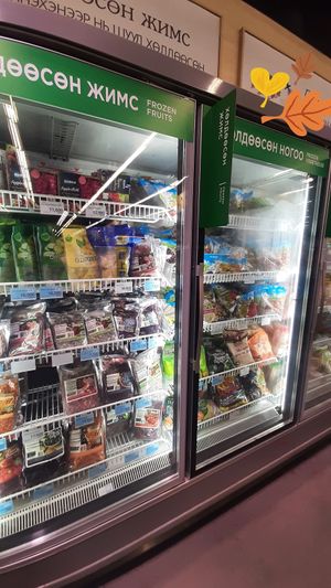 Frozen fruits, frozen vegetables at Emart Chinggis in Ulaanbaatar