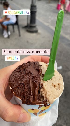 Vegan ice cream at Bougainvillea Gelateria in Sorrento