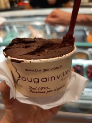 Sorvete vegano de chocolate sem açúcar. at Bougainvillea Gelateria in Sorrento