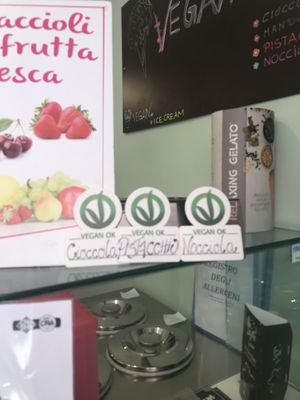 vegan ok at Gelateria Cento Per Cento in Malcesine