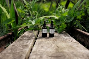 Kūmarahou & Kawakawa Medicinal Tinctures at Wilderland Trust Shop in Whitianga