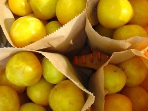 Organic Yellow Plums at Wilderland Trust Shop in Whitianga