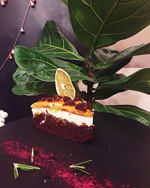 vegan cake at KOLO in Kyiv