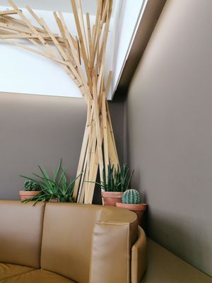 🌵 at DaTerra  in Viseu