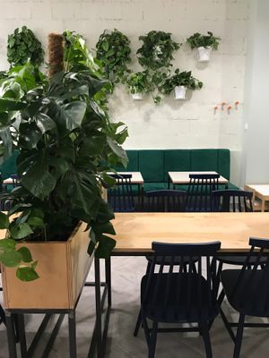 Piotrkowska 115/119 at Krowarzywa - Piotrkowska in Lodz