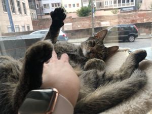 Peter ❤️ at Katzentempel - Nürnberg in Nuremberg