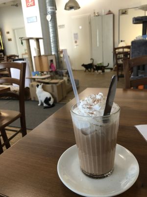 Yummy 😋  at Katzentempel - Nürnberg in Nuremberg