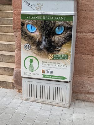  at Katzentempel - Nürnberg in Nuremberg