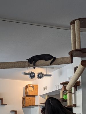  at Katzentempel - Nürnberg in Nuremberg