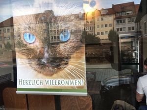 Outside window at Katzentempel - Nürnberg in Nuremberg