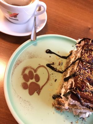Hat wohl geschmeckt    at Katzentempel - Nürnberg in Nuremberg