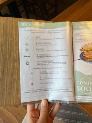   at Katzentempel - Nürnberg in Nuremberg