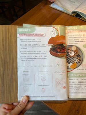   at Katzentempel - Nürnberg in Nuremberg