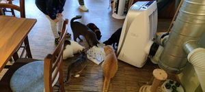  at Katzentempel - Nürnberg in Nuremberg