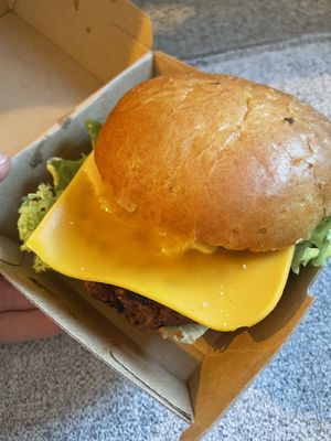   at Katzentempel - Nürnberg in Nuremberg