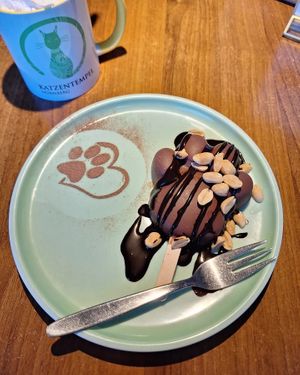 Don't call it Snickers 🐾 at Katzentempel - Nürnberg in Nuremberg