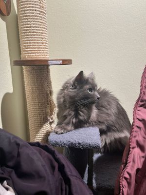  at Katzentempel - Nürnberg in Nuremberg