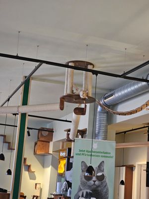  at Katzentempel - Nürnberg in Nuremberg